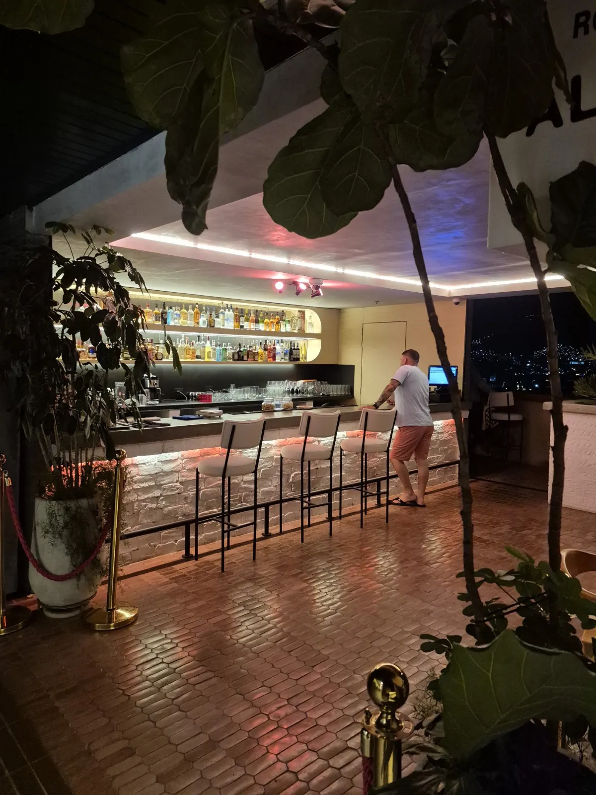 Alter's bar at night: a lit counter with high stools and shelves of bottles, seen past potted plants on a brick floor