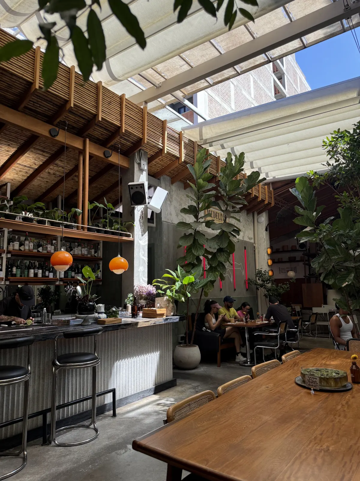 Café Dragón's partly open-roofed dining room with a wooden-slat canopy, large potted plants, a bar on the left and diners at tables