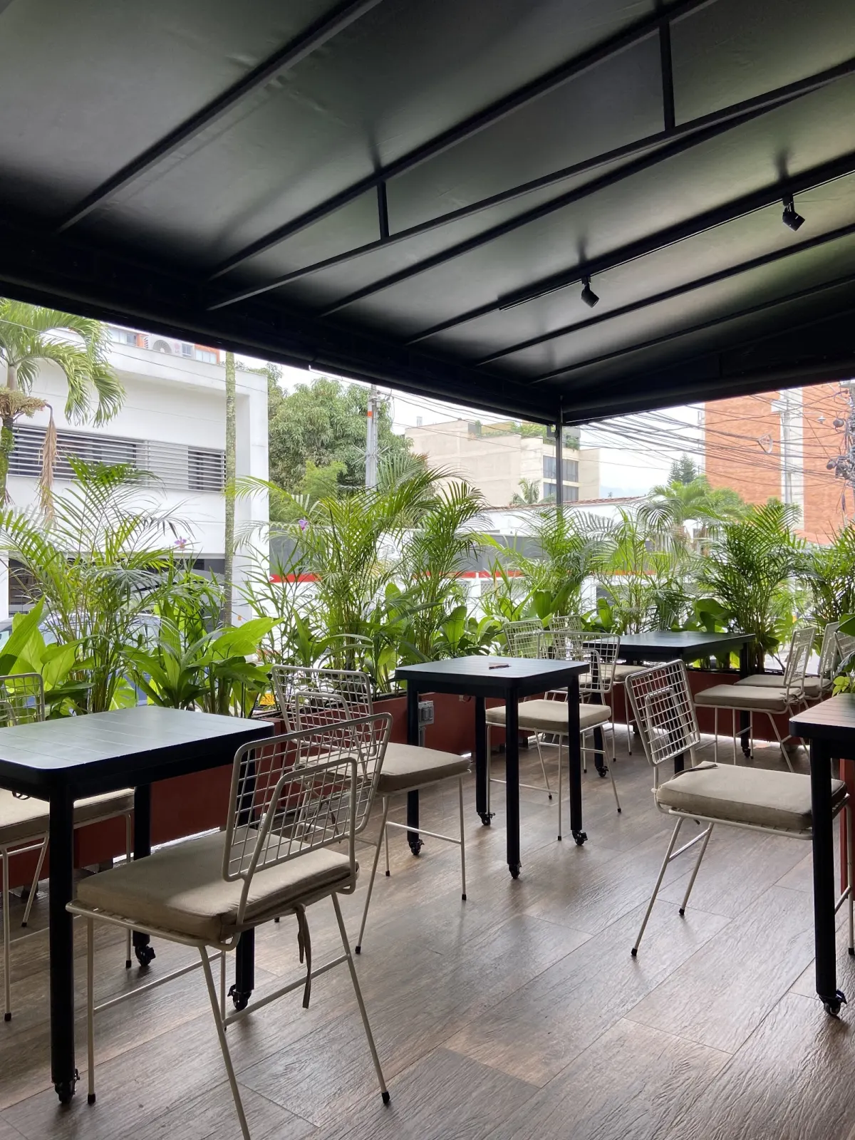 The covered terrace at Campesino Café, with black tables, white wire chairs and a screen of potted palms along the street