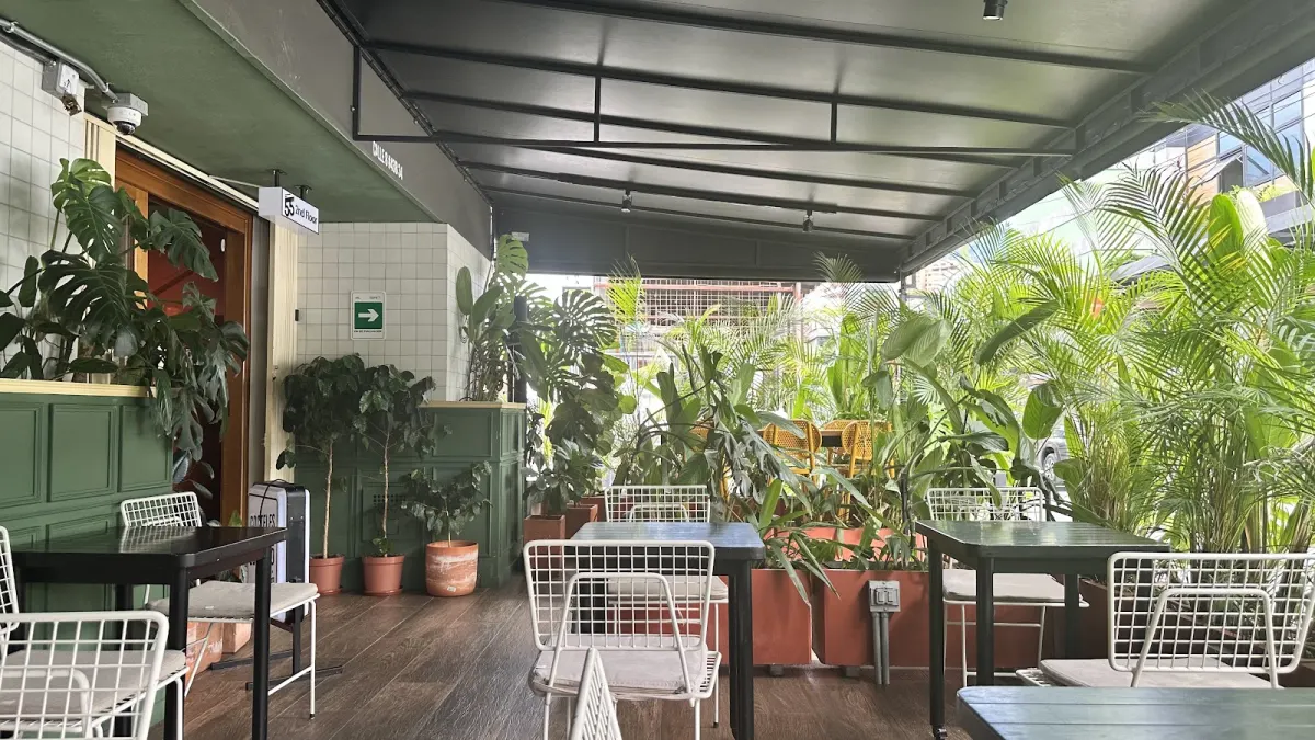 Another view of Campesino Café's covered terrace, with green panelled walls, terracotta planters, palms and white wire chairs