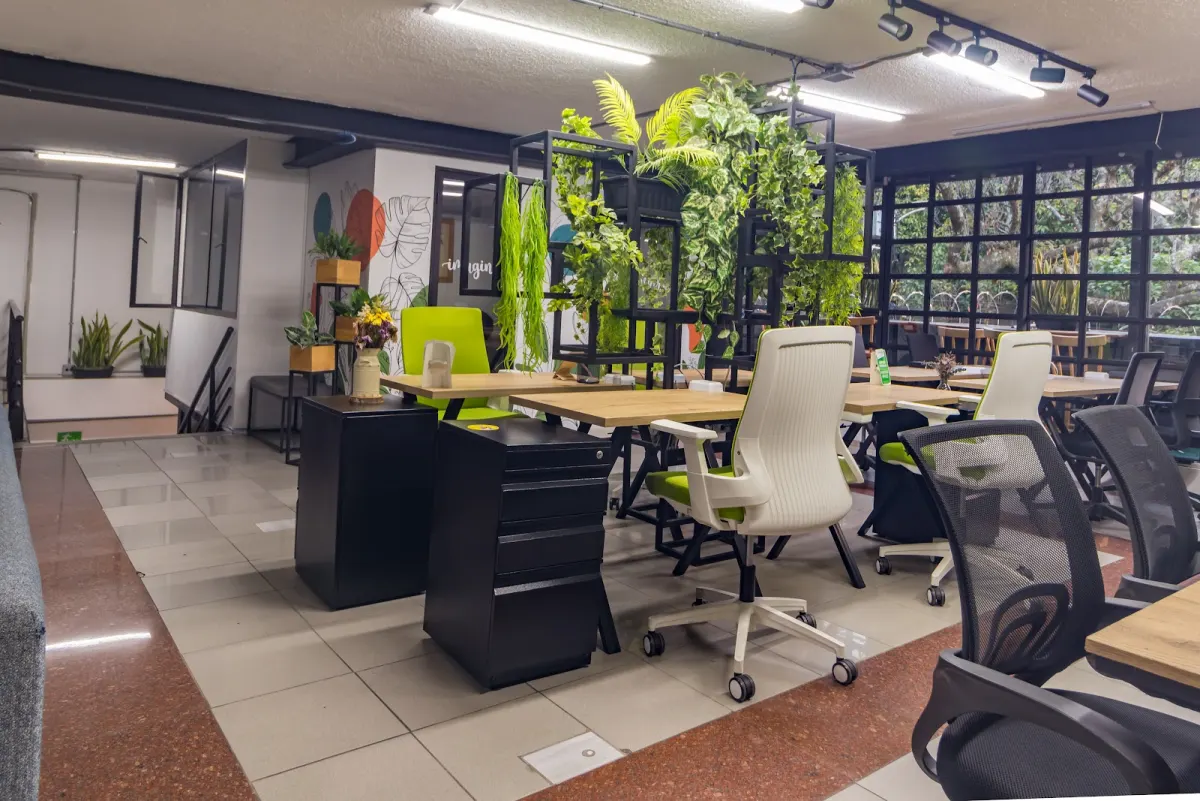 Wooden desks with white and black office chairs in CoWorking Inspira's workspace, beside a steel shelf of hanging plants and a wall of windows