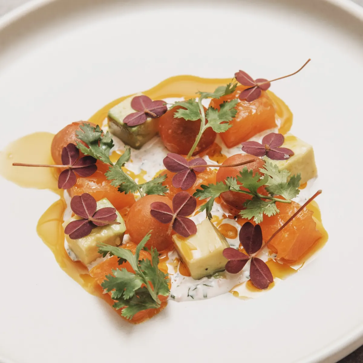 A plated starter at Restaurante Idílico: cubes of cured fish, avocado and tomatoes on a white cream, topped with coriander and purple sorrel leaves