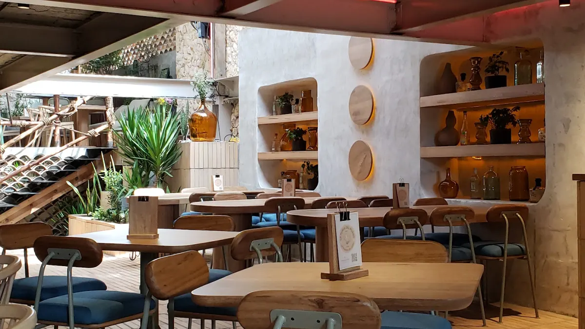 The dining room at Posada Salsera, with wooden tables, blue cushioned chairs and plaster shelving lined with bottles and plants