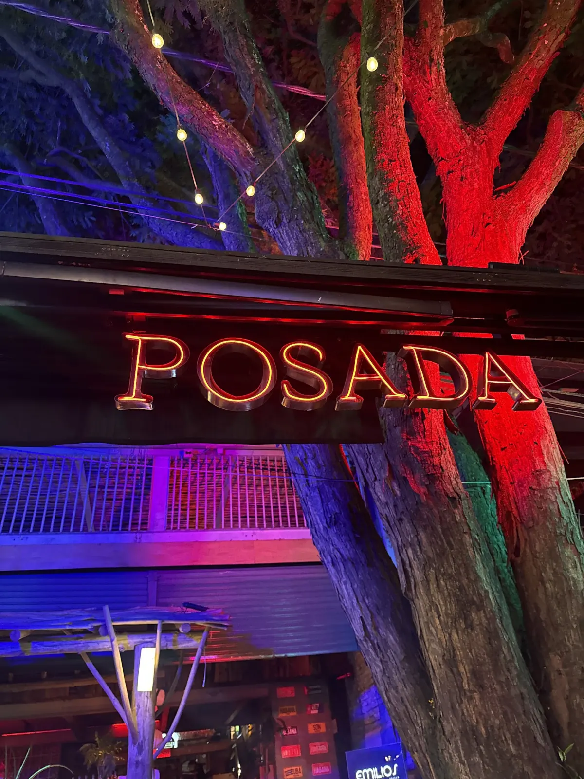 The lit Posada sign over the entrance at night, under trees washed in red and blue light