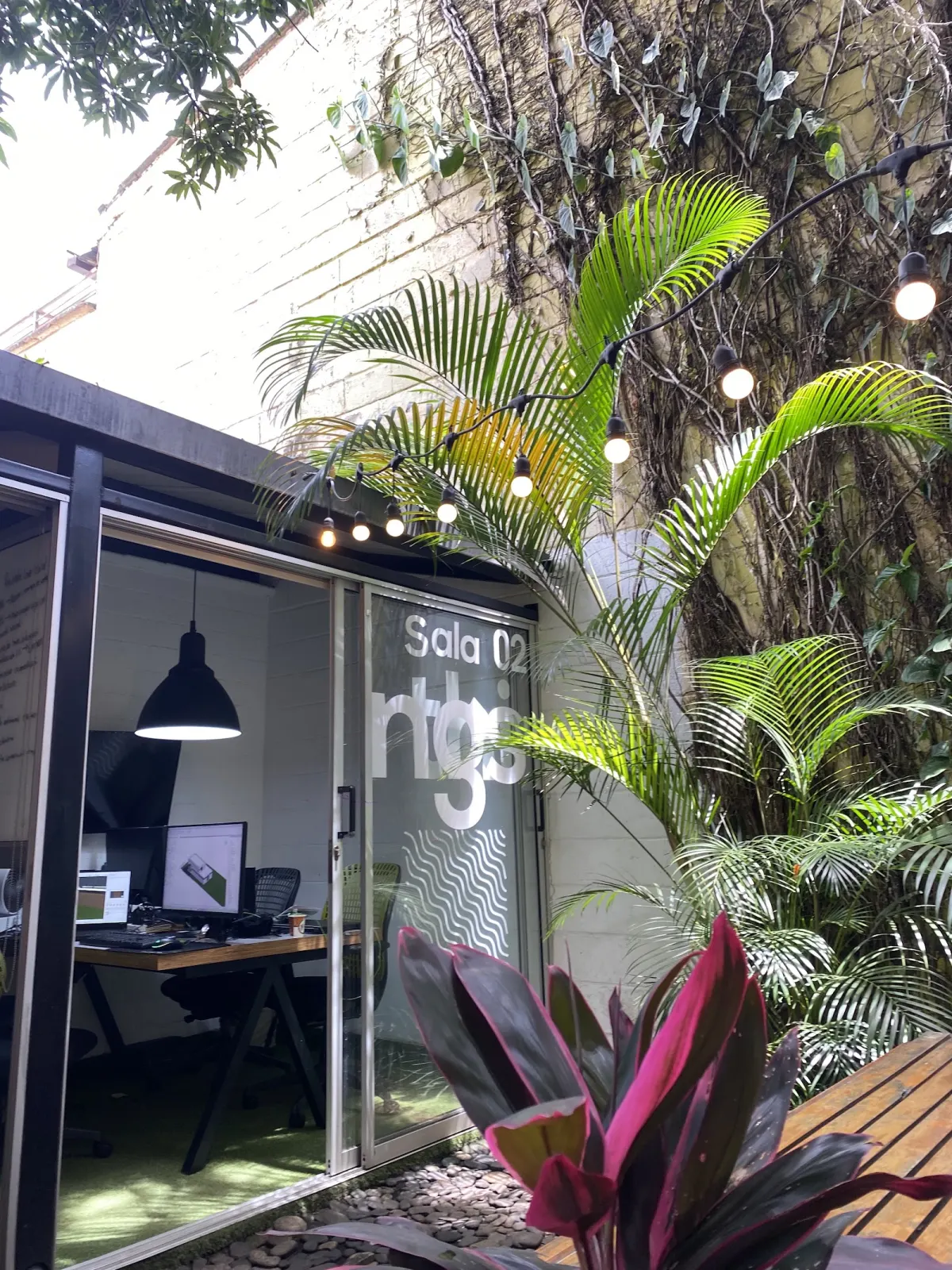 The glass door of meeting room Sala 02 at Quokka Astorga, with a desk and monitors inside and palms, a vine-covered wall and string lights outside